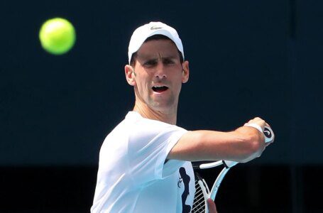 Djokovic admite sus errores a la espera de la decisión sobre el juego en el Abierto de Australia