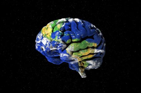 ¿Es inteligente la Tierra?