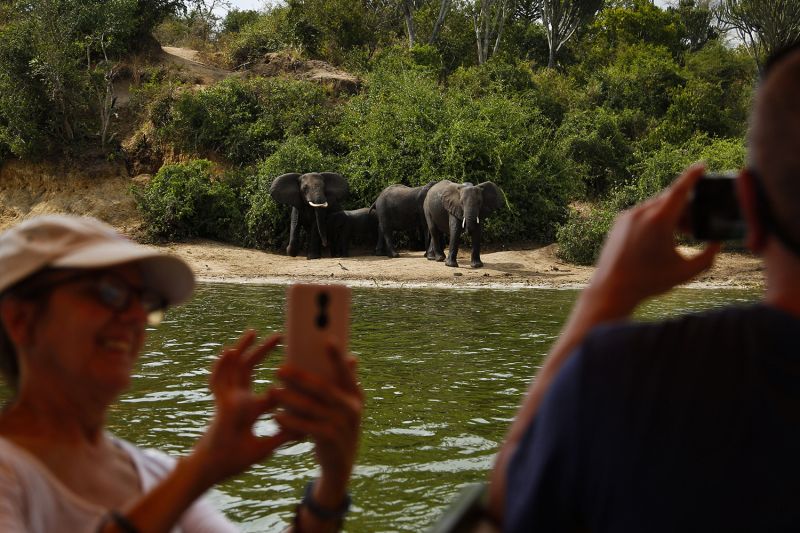 Turistas fotografían elefantes en el Parque Nacional Queen Elizabeth.Park.