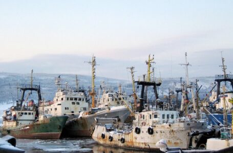 La OMC logra un acuerdo para reducir la sobrepesca mundial