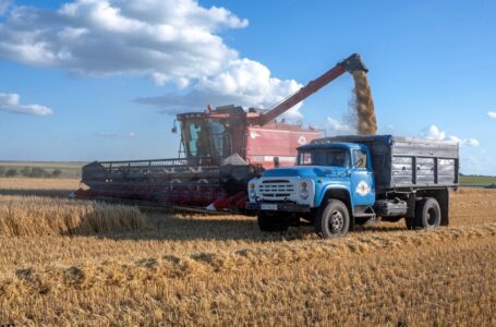 El granero de Ucrania vuelve a estar (casi) abierto al negocio
