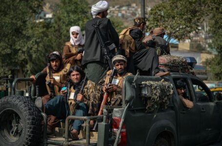Las armas afganas están armando a los insurgentes regionales