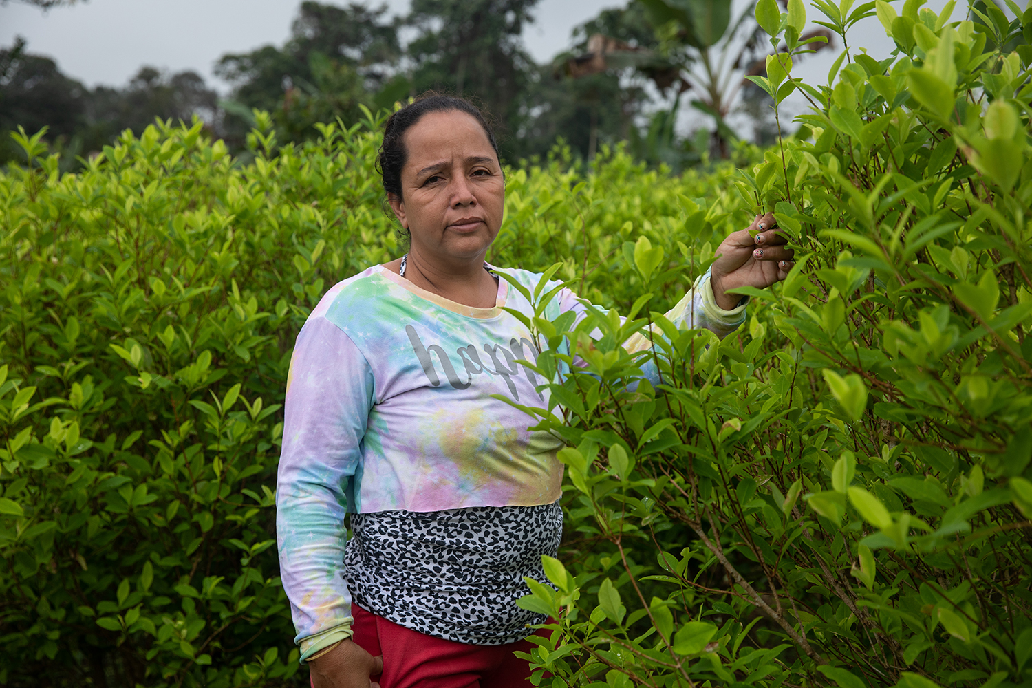 María Céspedes en su plantación de coca.