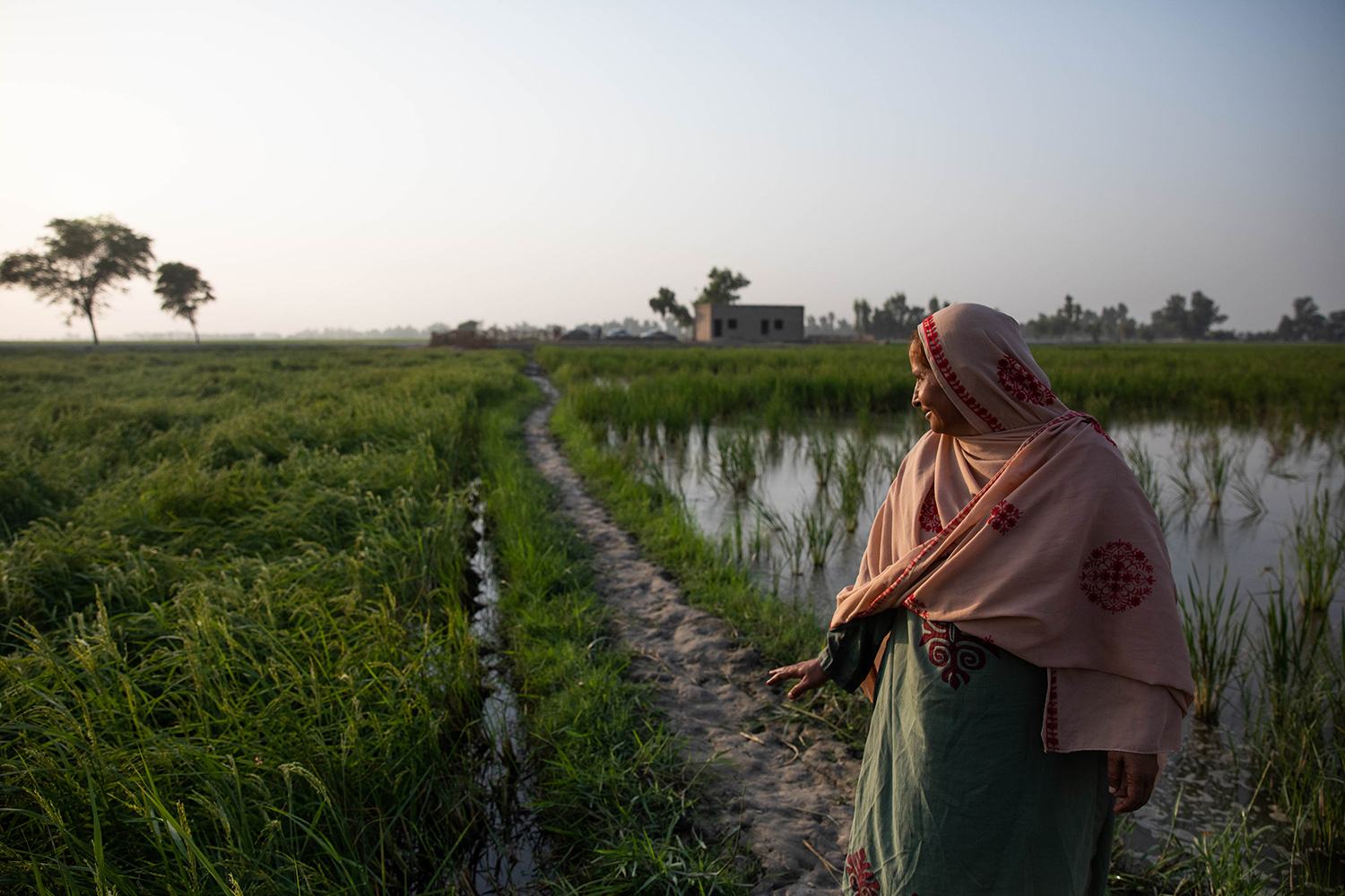 Zahida Khatoon Mugheri frente a unas tierras de cultivo parcialmente inundadas en Pakistán.