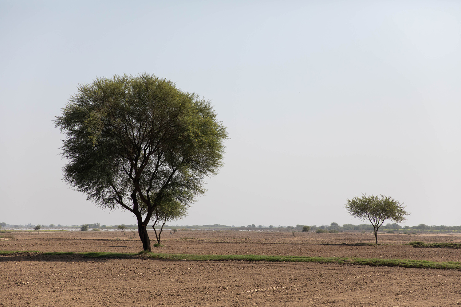 Un terreno agrícola seco frente a una zona inundada en Pakistán.