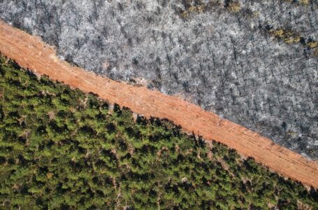 ¿Se ha movido este año la aguja del cambio climático?