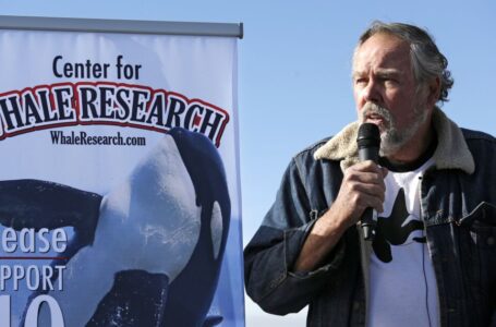 Muere Ken Balcomb, investigador que ayudó a poner fin al cautiverio de orcas