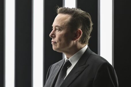 Neuralink, de Elon Musk, se enfrenta a una investigación sobre bienestar animal
