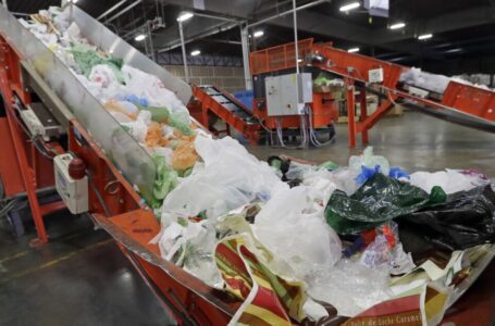 ¿Crees que esas bolsas son reciclables? California dice que lo pienses de nuevo