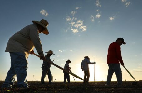 En el Valle Imperial de California, los agricultores se preparan para un futuro con menos agua del río Colorado