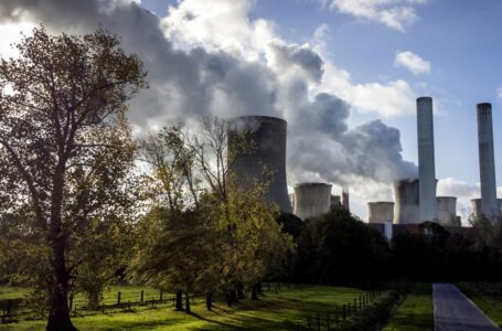Estudio: La gran brecha en la eliminación de carbono, clave para los objetivos climáticos