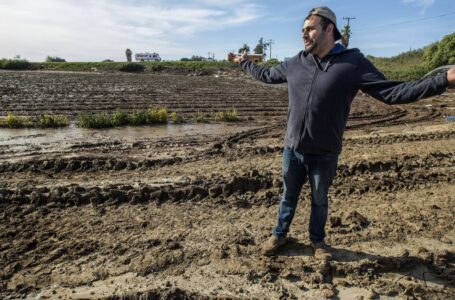 Las inundaciones provocadas por las tormentas agravan la miseria de las granjas y los trabajadores de California
