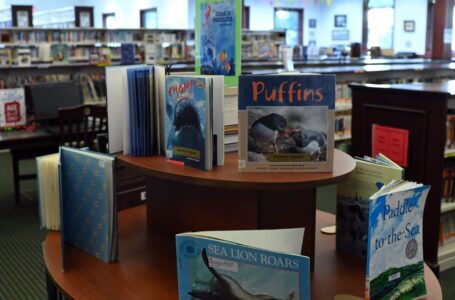 Los bibliotecarios escolares vilipendiados como “brazo de Satanás” en la guerra contra la prohibición de libros