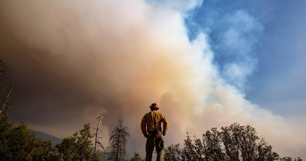 Le changement climatique augmente de 25 % le risque d’incendie de forêt en Californie
